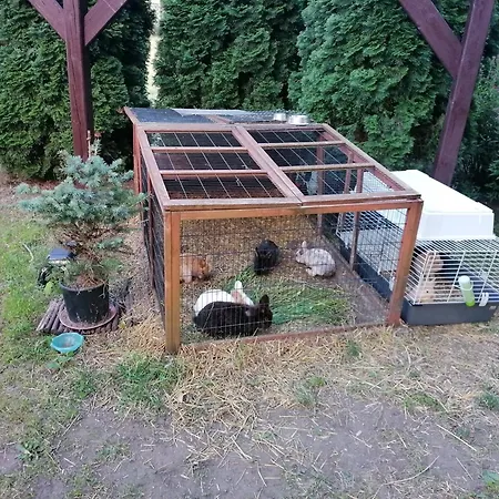 Castle Wellness Sosto Alojamento de Acomodação e Pequeno-almoço 3*