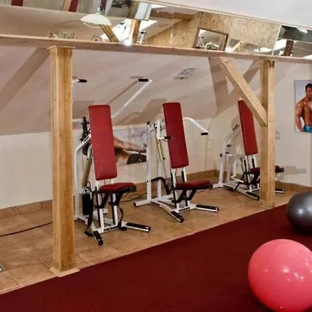 Castle Wellness Sosto Alojamento de Acomodação e Pequeno-almoço Nyíregyháza