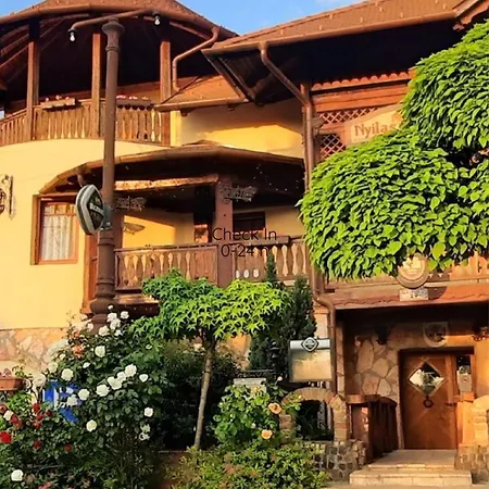 Castle Wellness Sosto Alojamento de Acomodação e Pequeno-almoço Nyíregyháza