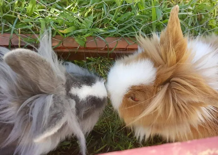 Panzió Castle Wellness Sosto 3*