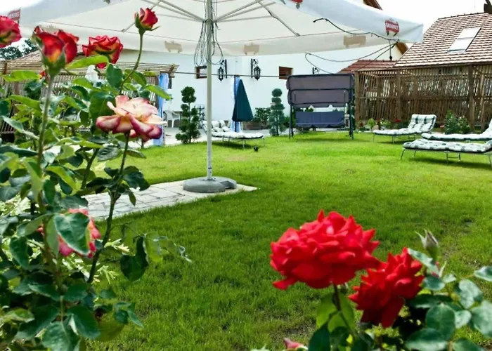 Panzió Castle Wellness Sosto