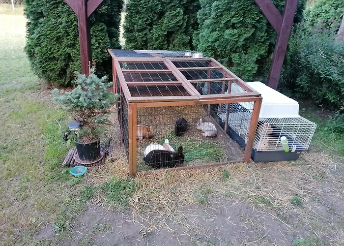 Castle Wellness Sosto Panzió 3*